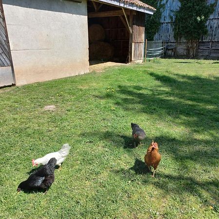 L' Embellie Sur Lot Panzió Sainte-Livrade-sur-Lot Kültér fotó