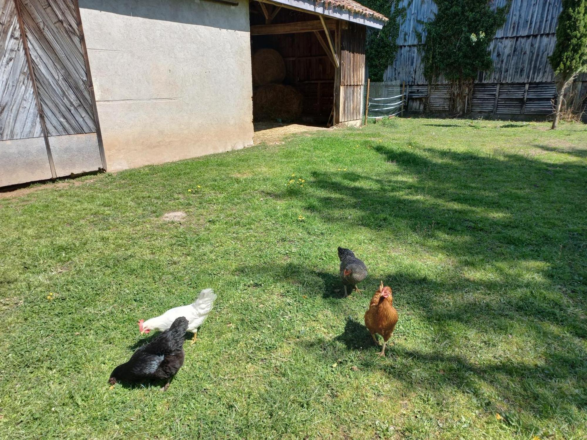 L' Embellie Sur Lot Panzió Sainte-Livrade-sur-Lot Kültér fotó
